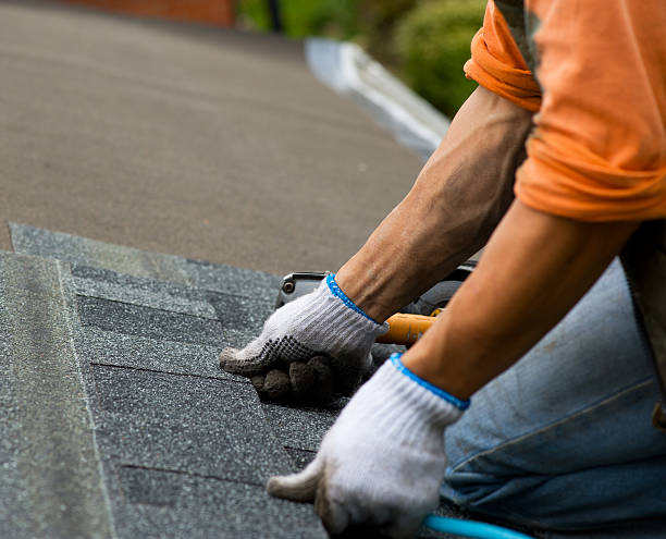 Best Roof Gutter Cleaning  in Milwaukee, WI